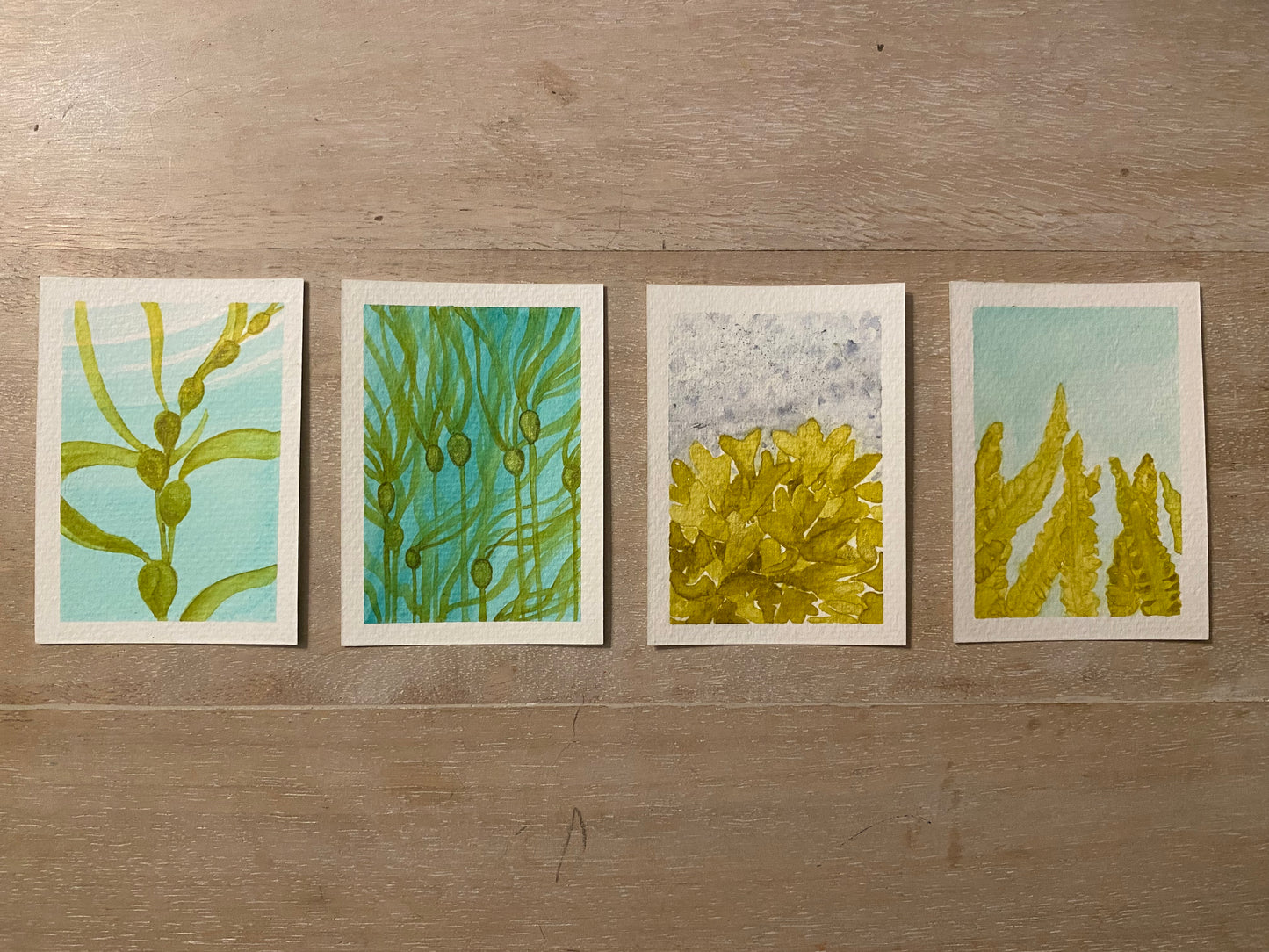 Mini Watercolours: Seaweed Series