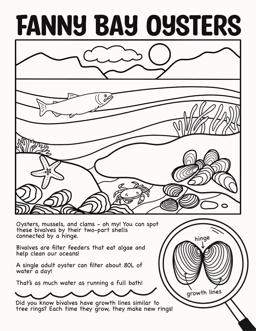 Fanny Bay Oysters Colouring Sheet, Sugar Kelp Studio