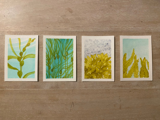 Watercolour Originals: Seaweed Series