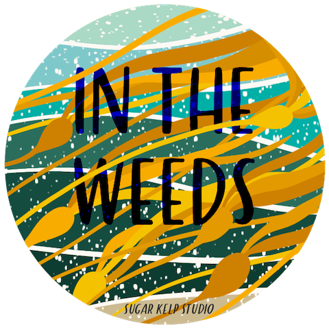 A circular graphic design with the words 'IN THE WEEDS' in large black letters over an abstract pattern of teal, yellow, orange, and dark green brushstrokes, with 'SUGAR KELP STUDIO' at the bottom.